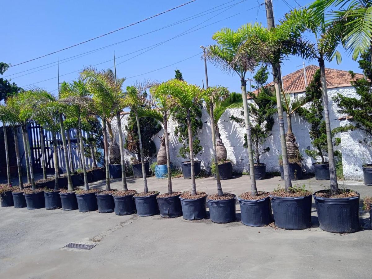 Pousada Sereia Jofisa Itanhaem Ngoại thất bức ảnh