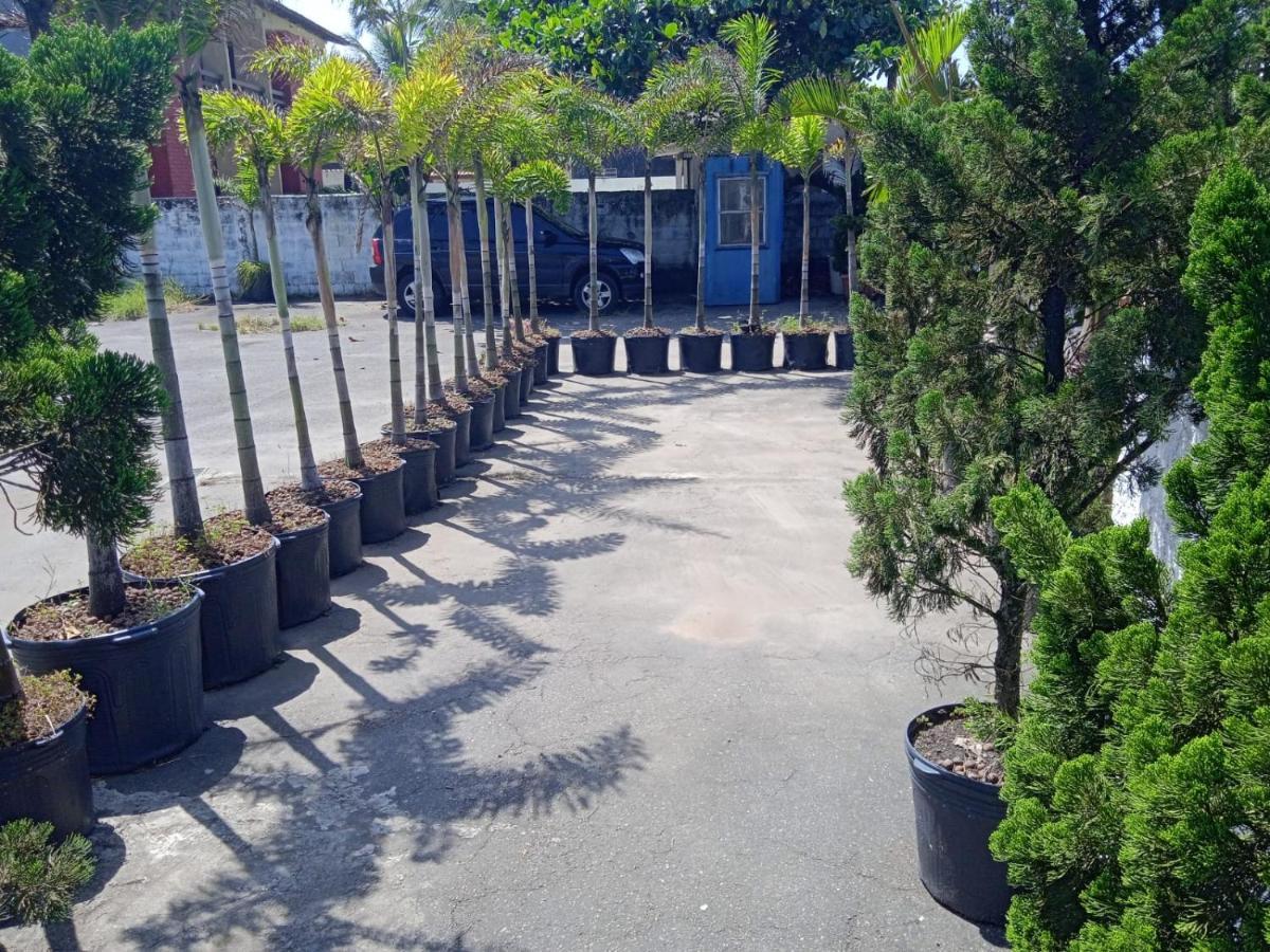 Pousada Sereia Jofisa Itanhaem Ngoại thất bức ảnh